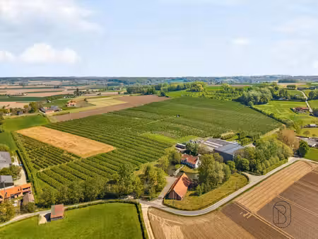vastgoedmakelaar sinds 2009