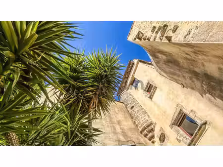 partie d'un ancien château au charme préservé