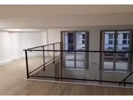 location local professionnel 183m² lyon 1er