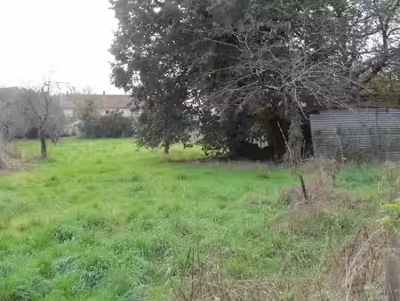 vente terrain à brux (86510)  13 000 €