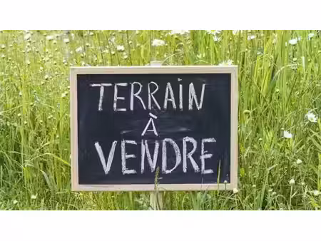 vente terrain 1714 m² à coulanges-lès-nevers (58660)  25 000 €