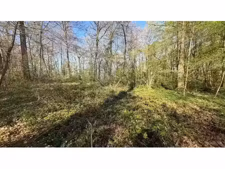 vente terrain 1710 m² à bois-le-roi (77590)  24 000 €