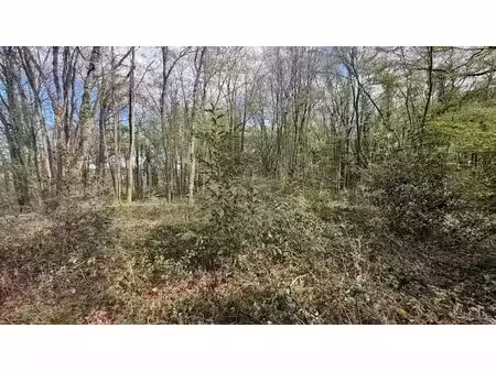 vente terrain 775 m² à bois-le-roi (77590)  9 990 €