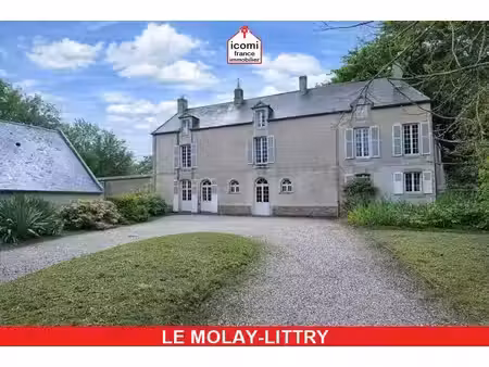 vente commerce 10 pièces 350 m² le molay-littry (14330)