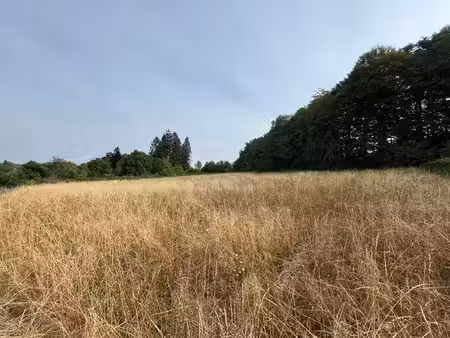 vente terrain 2803 m² à savennes (23000)  27 500 €
