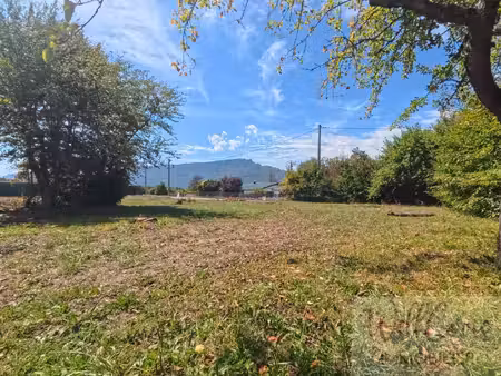 terrain