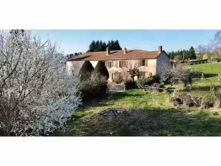 propriété avec jardin charlieu (42)