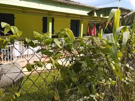 achat immeuble 175m² le lamentin 97232