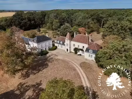 vente château 17 pièces 660 m² à vierzon (18100)  695 000 €