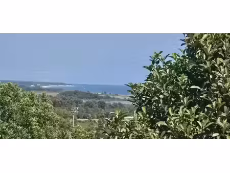 vente maison 4 pièces 175 m² à ventiseri (20240)  599 000 €
