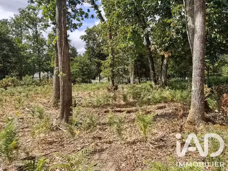 vente terrain 1661 m² saint-benoît-la-forêt (37500)