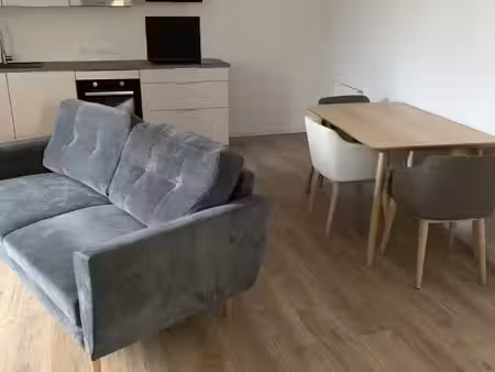 vente appartement 2 pièces 63 m² casteljaloux (47700)