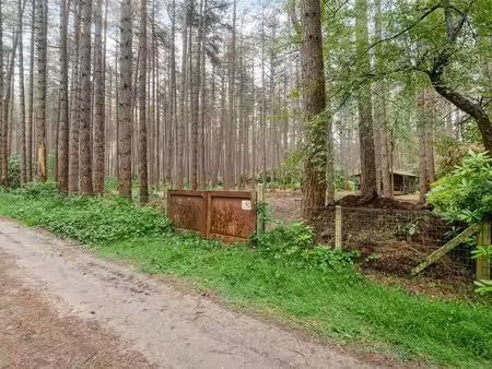 terrain à vendre à gierle € 45.000 (lrbpz) - heylen vastgoed - turnhout | zimmo