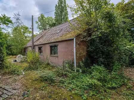 maison à vendre à nijlen (lr9ph) - verelst & janssens | zimmo