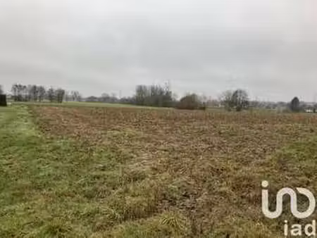 vente terrain à mulsanne (72230) : à vendre / 654m² mulsanne