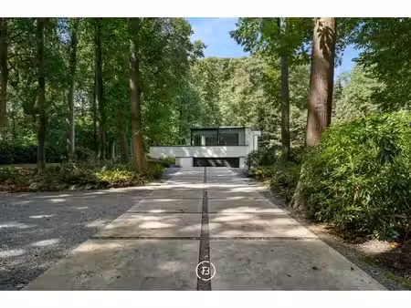 villa moderne dans la verdure