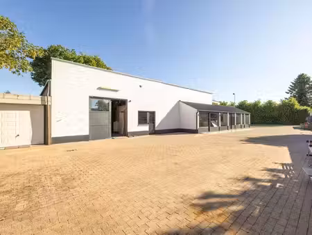 bien professionnel à vendre à westmalle € 569.000 (lrbt1) - heylen vastgoed - oostmalle | 