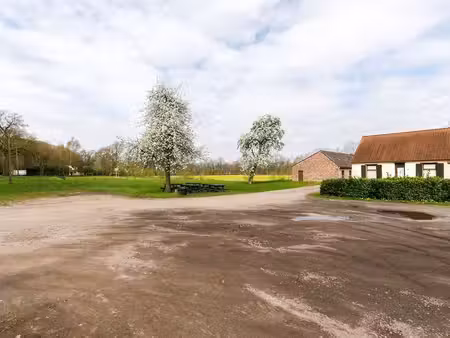 maison à vendre à mol € 495.000 (kdqmt) - heylen vastgoed - geel | zimmo