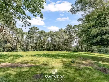 terrain à vendre à zolder € 995.000 (lr9x7) - swevers vastgoed - beringen | zimmo