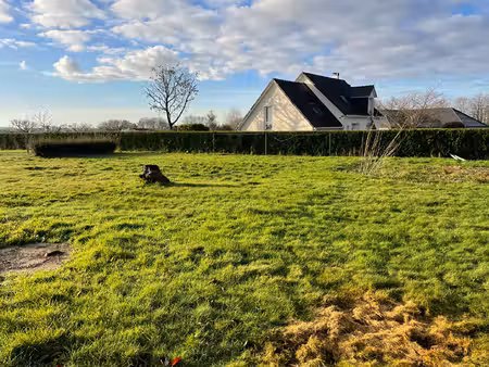 saint-laurent-de-brévedent -terrain à bâtir viabilisé - projet de construction étudié