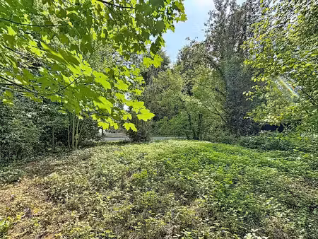 terrain