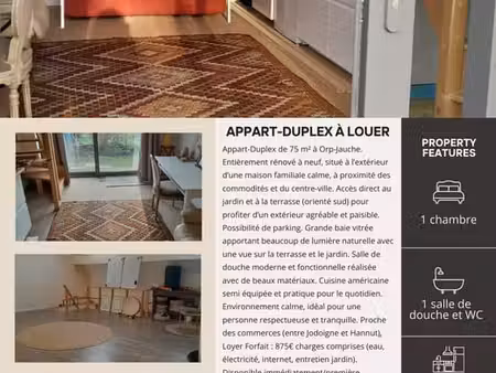 appart-duplex rénové  terrasse sud  orp-jauche