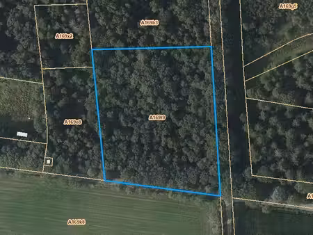 terrain à vendre à turnhout € 55.000 (lrc5t) - heylen vastgoed - turnhout | zimmo