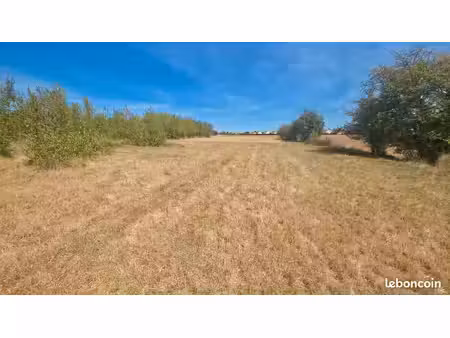 location pâture