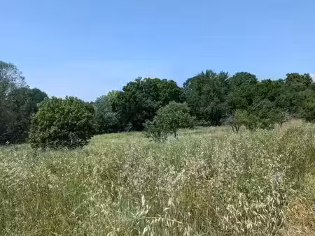 vente terrain 1515 m² à grabels (34790)  299 000 €