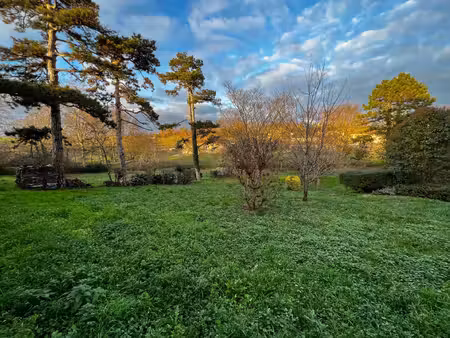 grand terrain à bâtir