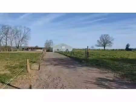 écuries et 13 box  manège à louer à baelen
