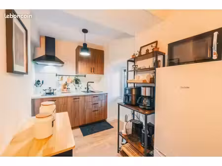 maison meublé en pierre 50 m2
