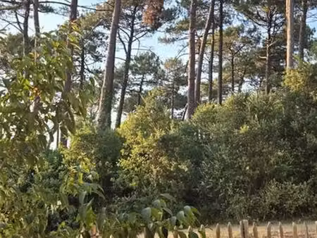 t3 avec jardin