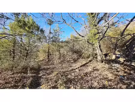 vente terrain 24790 m² à saint-vallier-de-thiey (06460)  63 700 €