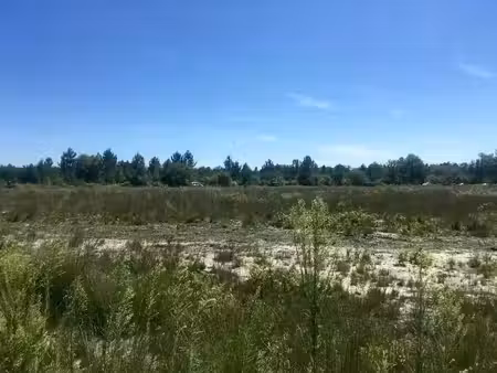 vente terrain 870 m² à mios (33380)  241 000 €