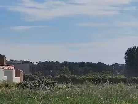 vente terrain 485 m² à saint-palais-sur-mer (17420)  240 000 €