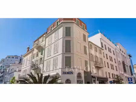 propriété cannes (06)