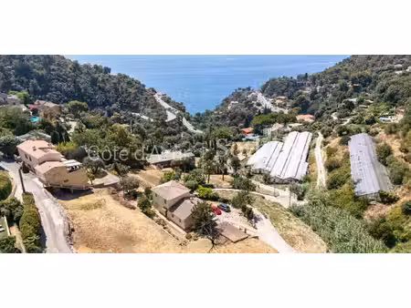 terrain en bord de mer eze (06)