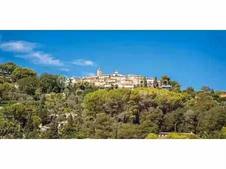 villa avec piscine mougins (06)