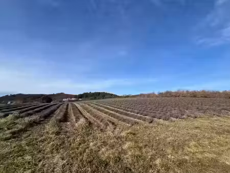 vente terrain 717 m² à roumoules (04500)  117 000 €