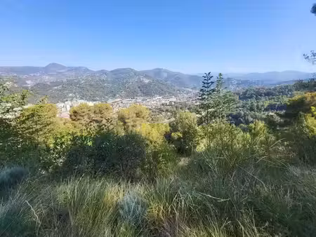 vente terrain 16415 m² à la trinite (06340)  132 000 €