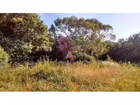 vente terrain 756 m² à locmaria-plouzané (29280)  155 000 €