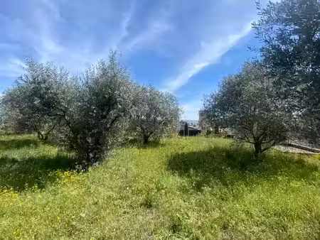 vente terrain 672 m² à sainte-tulle (04220)  145 000 €