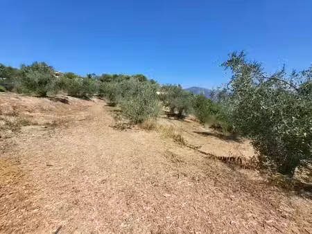 vente terrain 3964 m² à la trinite (06340)  205 000 €