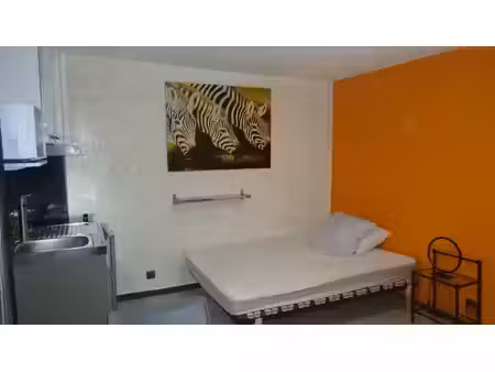 location appartement 1 pièce 20 m² à grenoble (38000)  490 €
