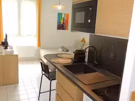 location meublée appartement 1 pièce 19.8 m² à grenoble (38000)  630 €