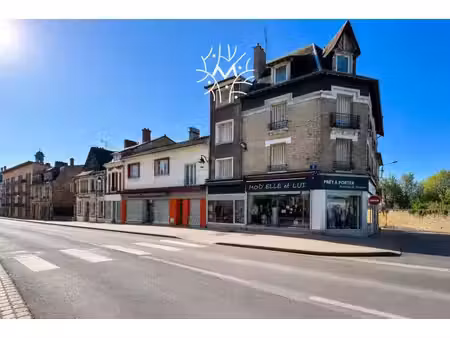 professionnel