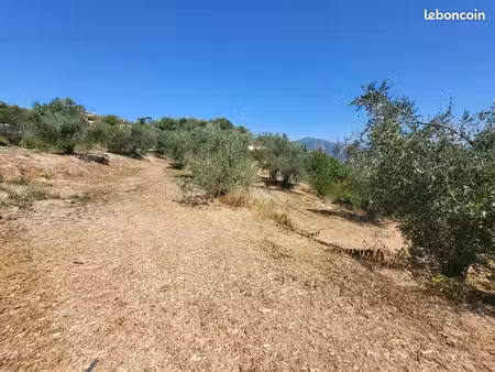 terrain 3 964 m² la trinite