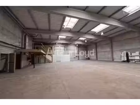 vente entrepôt orchies 59310 3648m²