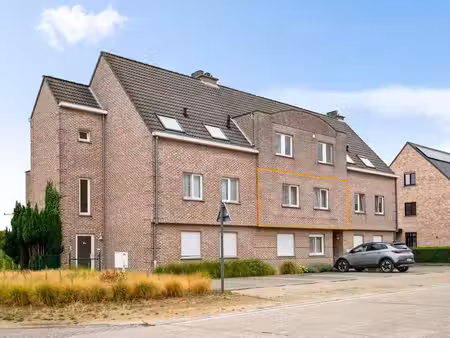 appartement à louer à putte € 1.100 (lrcii) - boonstra vastgoedgroep | zimmo